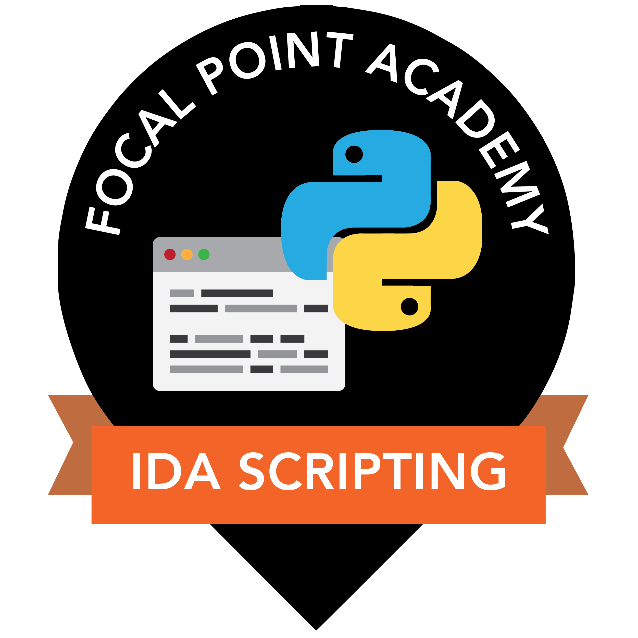 Scripting IDA with Python