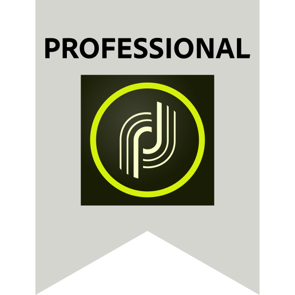 Adobe Professional – Adobe Campaign Standard Business Practitioner