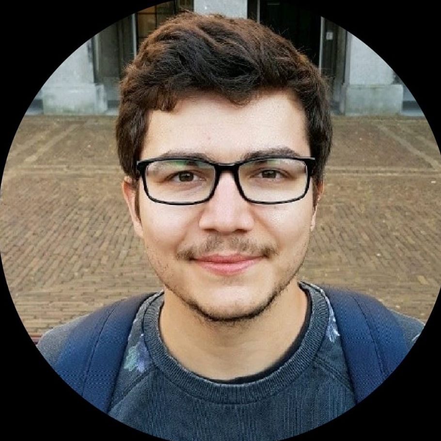 Mihai-Sergiu Daniluk