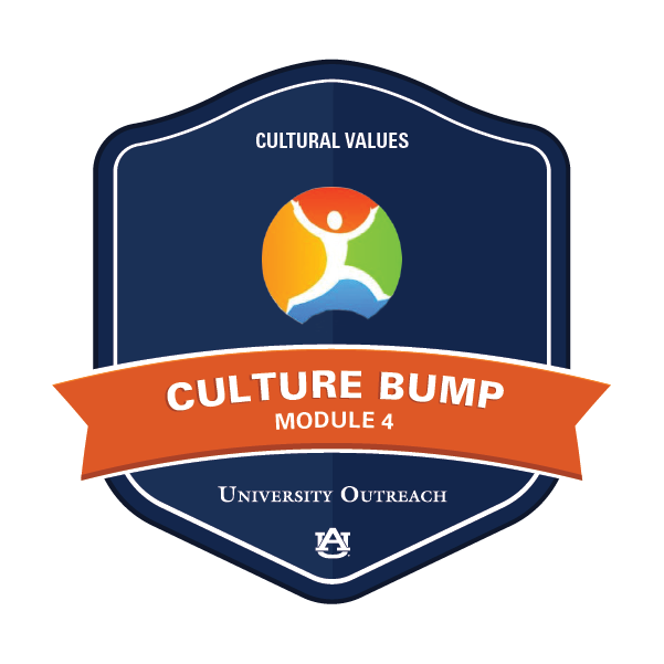 Culture Bump Module 4: Cultural Values