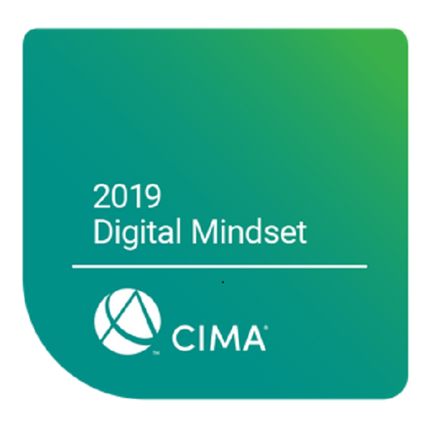 2019 Digital Mindset