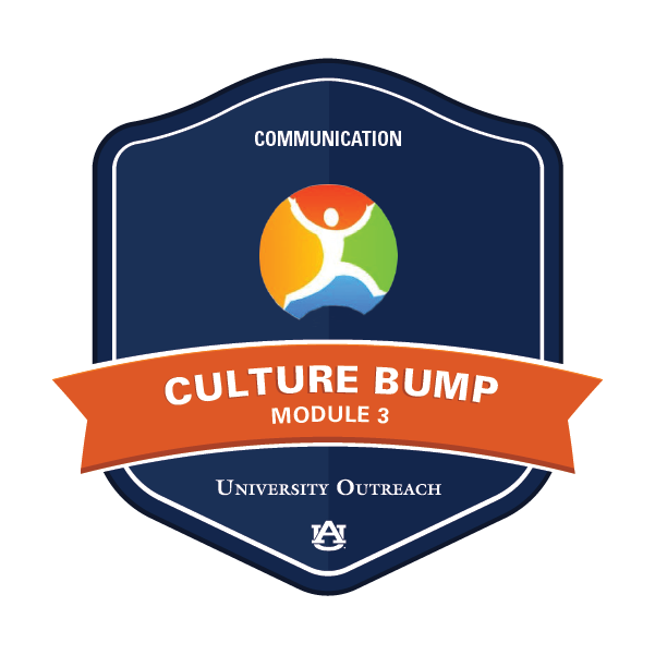 Culture Bump Module 3: Communication
