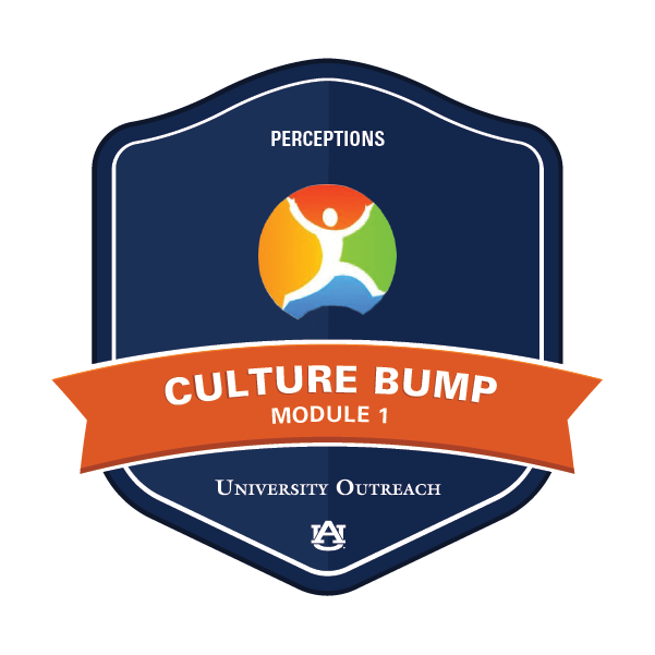 Culture Bump Module 1: Perceptions