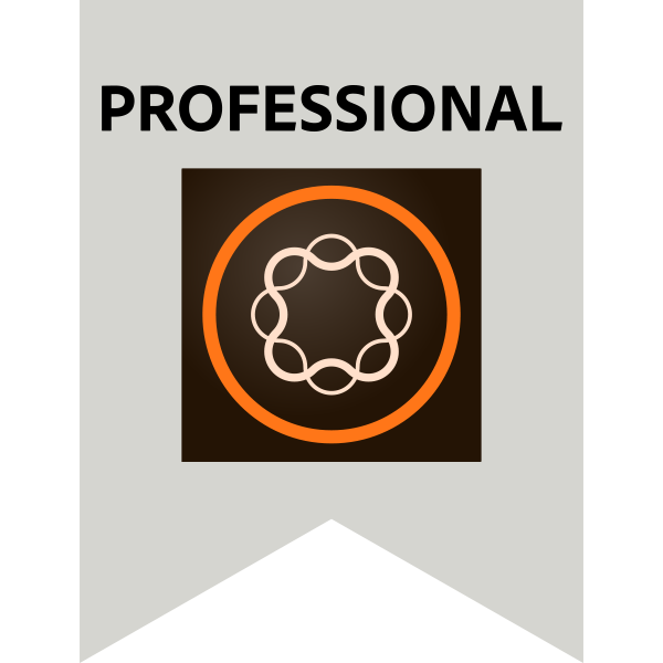 Adobe Professional – Adobe Experience Manager Forms Developer