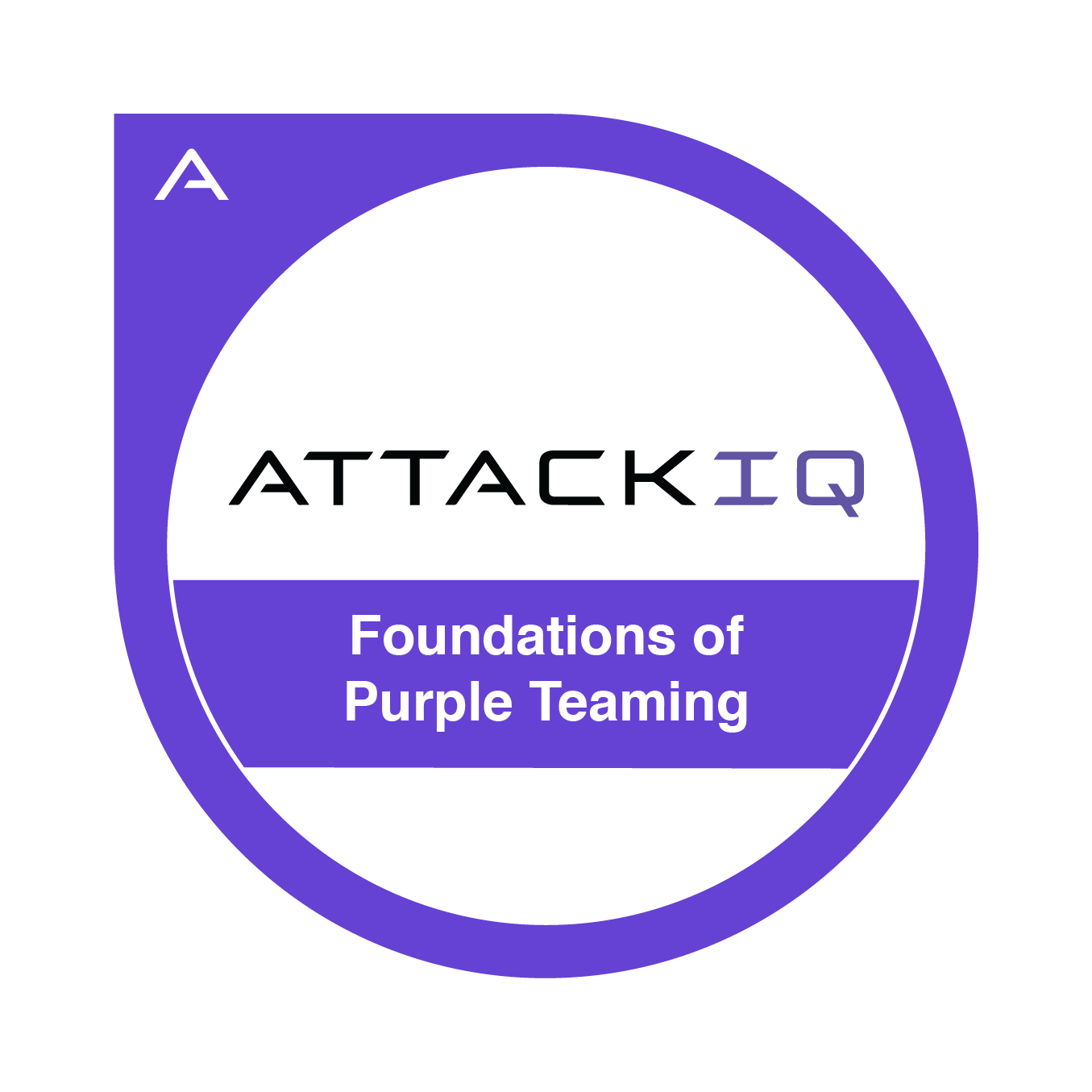 Foundations of Purple Teaming