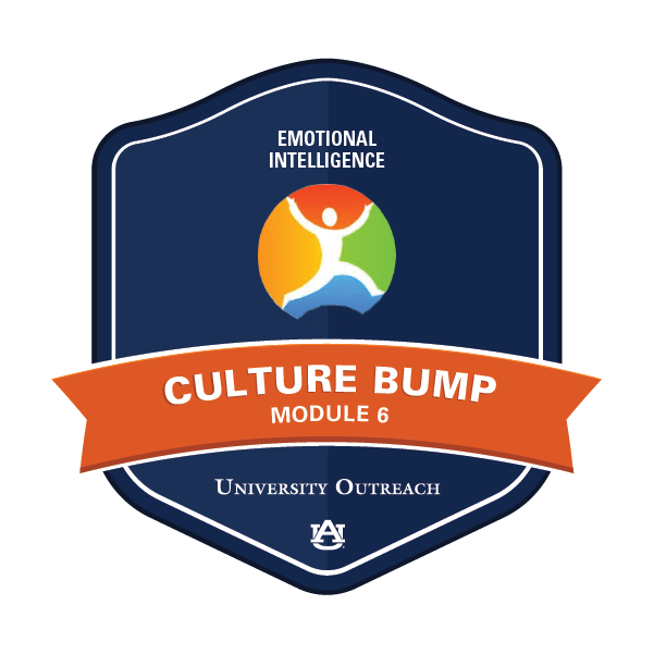 Culture Bump Module 6: Emotional Intelligence