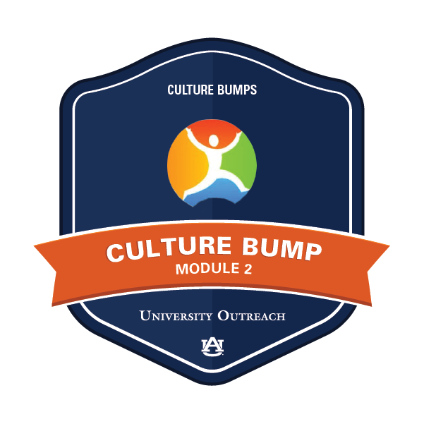 Culture Bump Module 2: Culture Bumps