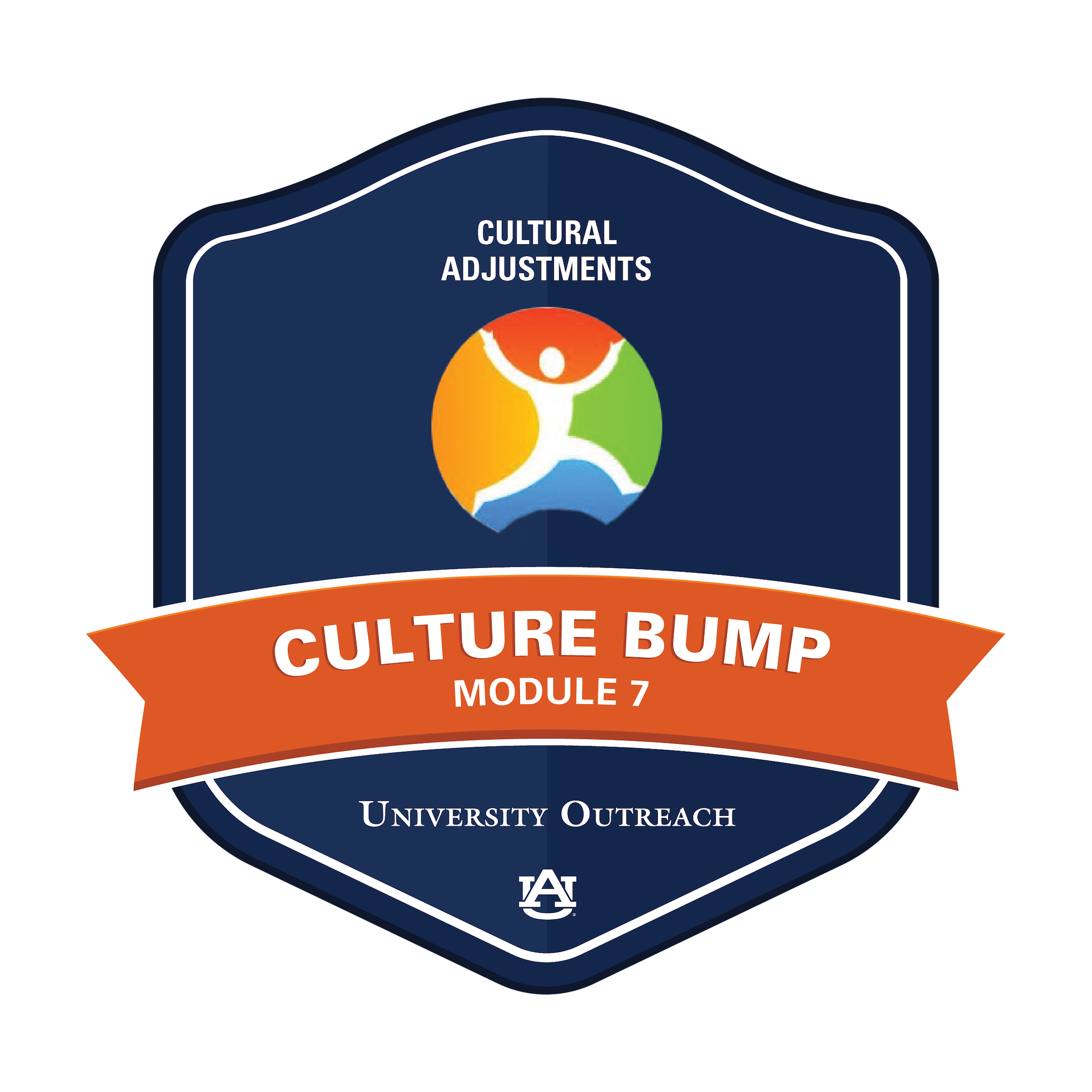 Culture Bump Module 7: Cultural Adjustment