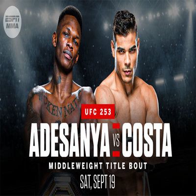 UFC 253