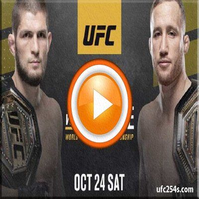 UFC 254