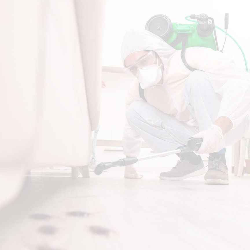 Citrus Heights Pest Control Pros